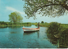 SIRACUSA FIUME ANAPO CON BARCA ANNO 1976 VIAGGIATA - Siracusa