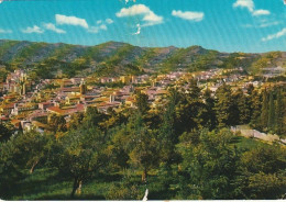 ASCOLI PICENO VEDUTA PANORAMICA ANNO 1971 VIAGGIATA - Ascoli Piceno