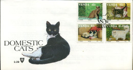 Venda - FDC - Huiskatten                              - Venda