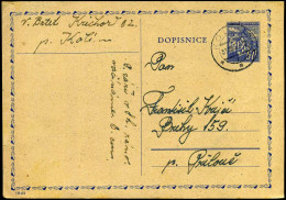 Post Card - Cartas & Documentos