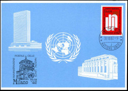 Maximum Card - Amministrazione Postale Delle Nazioni Unite - Cartes-maximum