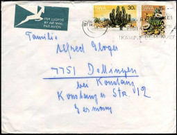 Cover To Dellingen, Germany - Südwestafrika (1923-1990)