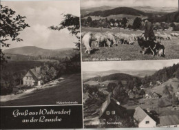 81247 - Grossschönau-Waltersdorf - U.a. Hubertusbaude - 1971 - Grossschönau (Sachsen)