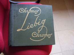 Liebig Old Album Chromos Vert Pour 50 Séries - Albums & Katalogus