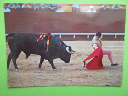 Miguel Mateo "Miguelin" - Plaza De Valencia - Pase De Rodillas - Passe à Genoux - A Kneel Pass - Corrida