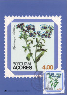 PORTUGAL Azores Maximum Card 349,flowers - Azoren