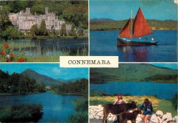 Irlande - Galway - Connemara - Multivues - Anes - CPM - Etat Coin Abimé - Voir Scans Recto-Verso - Galway