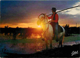 Animaux - Chevaux - Camargue - Gardian, Le Soir Dans Les Marais - CPM - Voir Scans Recto-Verso - Chevaux