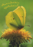 BUTTERFLIES Animals Vintage Postcard CPSM #PBS440.A - Schmetterlinge