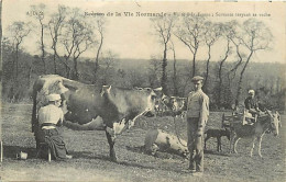 - Thèmes Div -ref-V V700- Fermes - Elevage - Scènes De La Vie Normande - Visite à La Ferme - Servante Trayant Sa Vache - Fattorie