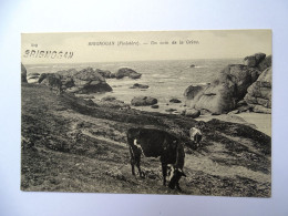 BRIGNOGAN. Un Coin De La Grève - Brignogan-Plage