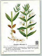 39677602 - Homoeopathie Gratiola Officinalis L. Gottesgnadenkraut Sign. Berthold H.J. Kuenstlerkarte  Nr.16 - Santé