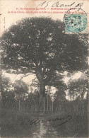 FRANCE - Environs De La Fère - St Nicolas Aux Bois - Le Gros Chêne - âgée Plus De 1500 Ans - Carte Postale Ancienne - Laon