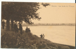 HAMME   SCHELDE BOORDEN  ANIMATIE - Hamme