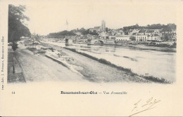 95 BEAUMONT SUR OISE - Vue D'emsemble - Beaumont Sur Oise