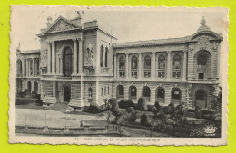 MONACO N°45 Le Musée Océanographique En 1956 édition Munier Montluet Nice - Oceanographic Museum