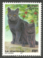 362 France Yv 3283 Nature Chat Cat Katze Gatto Gato Kat Chartreux MNH ** Neuf SC (3283-1) - Neufs