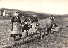 19-CORREZE- LABOUREUR - Autres & Non Classés