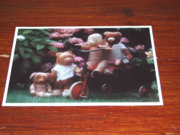 74428-     BEREN / BEARS / BÄREN / OURS / ORSI / TEDDYBEARS - Spielzeug & Spiele