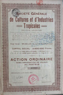 Société Générale De Cultures Et D'Industries Tropicales - Bruxelles - Action - 1924 - Industrie