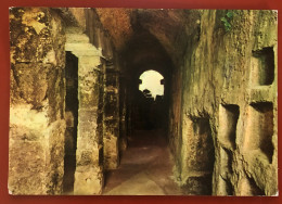 SIRACUSA - Roman Swimmingpool (c581) - Siracusa