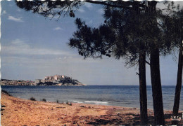 CALVI La Citadelle Vue De La Pinede 17(scan Recto-verso) MA608 - Calvi