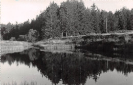 Colonie De Vacances Du Moulinet Le Bois De Fraisse 3(scan Recto-verso) MA604 - La Salvetat