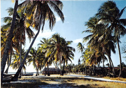 NOUVELLE CALEDONIE Paysage Familier D Ouvea 10(scan Recto-verso) MA645 - New Caledonia