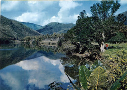 NOUVELLE CALEDONIE Paysage Familier De La Cote Est 20(scan Recto-verso) MA645 - New Caledonia