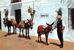 ESPAGNE COSTA DEL SOL MIJAS Arret De Burros Taxi 13(scan Recto-verso) MA619 - Sonstige & Ohne Zuordnung