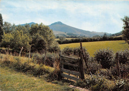 ESPELETTE Vue Sur Le Mont Darrain Et La Reserve De Pottioks Petit Cheval Sauvage 39(scan Recto-verso) MA616 - Espelette