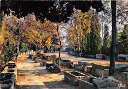 ARLES Les Alyscamps L Allee Des Sarcophages Necropole Gallo Romaine 5(scan Recto-verso) MA640 - Arles