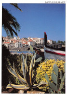 BANYULS SUR MER Vegetation Mediterraneenne Sur Le Front De Mer 23(scan Recto-verso) MA697 - Banyuls Sur Mer