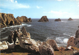 CAMARET Les Tas De Pois A La Pointe De Pen Hir 31(scan Recto-verso)MA689 - Camaret-sur-Mer