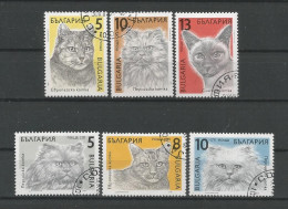 Bulgaria 1989 Cats Y.T. 3286/3291 (0) - Used Stamps