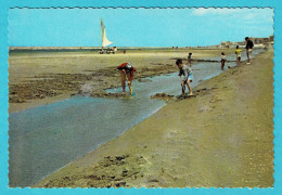 * De Panne - La Panne (Kust - Littoral) * (JC, Nr 8) Het Strand, La Plage, Beach, Enfant, Char à Voile, Unique - De Panne