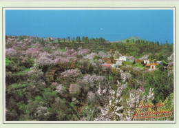 131241 - Puntagorda - Spanien - Vista Parcial - La Palma