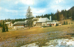 Postcard Romania Poiana Brasov Hotel Sport 1961 Cosmos Stamp - Rumänien