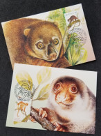 Australia Indonesia Joint Issue Cuscus 1996 Monkey Fauna (maxicard) - Covers & Documents