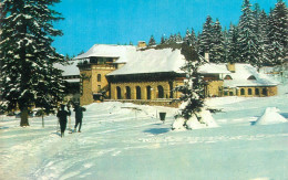 Postcard Romania Poiana Brasov Hotel Sport - Rumänien