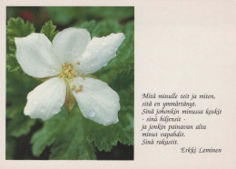 FLEURS Vintage Carte Postale CPSM #PBZ680.FR - Fleurs