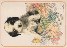 CHIEN Animaux Vintage Carte Postale CPSM #PAN550.FR - Chiens