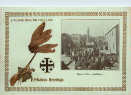 Bethlehem - Christmas Greetings - Palestine
