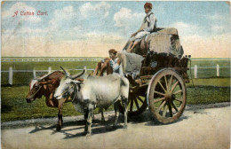 A Cotton Cart - Wagengespanne