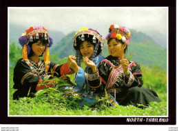 North Thailand Thaïlande The Girls Of Several Moutain Folk Are Gathering The Herbs' Flower Beaux Costumes Folklore - Tailandia