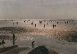 89872 - Büsum - Wattenmeer Im Gegenlicht - Ca. 1985 - Buesum