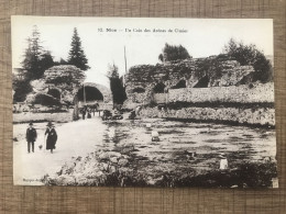 NICE Un Coin Des Arènes De Cimiez - Parcs Et Jardins