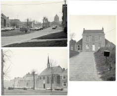 Zottegem VELZEKE, Ruddershove Kerk, Sint-Franciscus Instituut, Gall-Romains Museum CPSM TTB/SUP - Zottegem