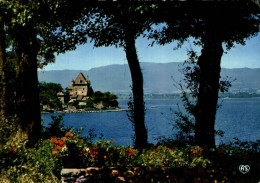 74 YVOIRE ECHAPPEE A TRAVERS LES ARBRES SUR LA POINTE D'YVOIRE ET LE CHATEAU - Yvoire