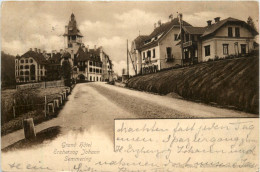 Grand Hotel Erzherzog Johann Semmering - Bruck An Der Mur